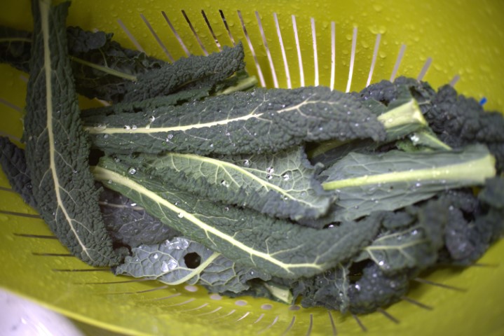 Photo of freshly cleaned kale.